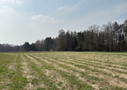 działka na sprzedaż - Zebrzydowice
