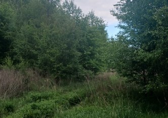 działka na sprzedaż - Godów, Gołkowice
