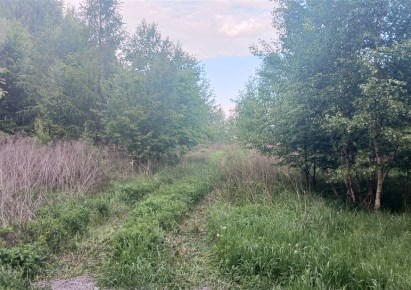 działka na sprzedaż - Godów, Gołkowice