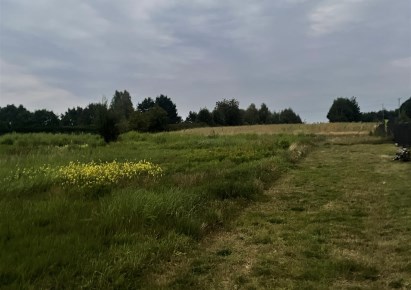 działka na sprzedaż - Wodzisław Śląski, Turzyczka