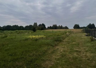 działka na sprzedaż - Wodzisław Śląski, Turzyczka