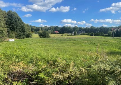 działka na sprzedaż - Godów, Skrzyszów