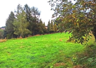 działka na sprzedaż - Rybnik