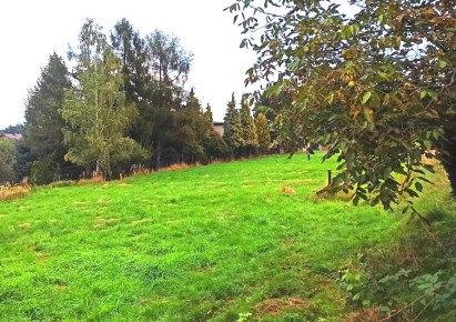 działka na sprzedaż - Rybnik