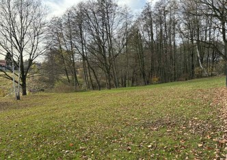 działka na sprzedaż - Wodzisław Śląski, Kokoszyce