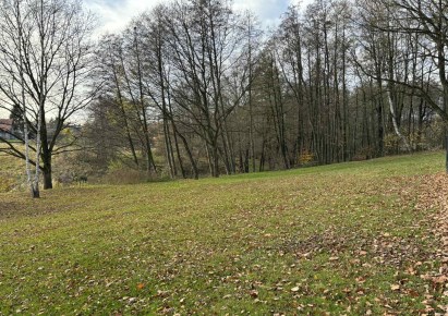 działka na sprzedaż - Wodzisław Śląski, Kokoszyce